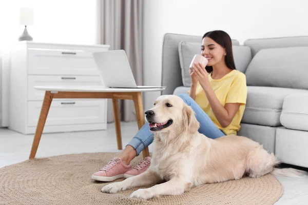 Mladá žena a její zlatý retrívr pes v obývacím pokoji — Stock fotografie
