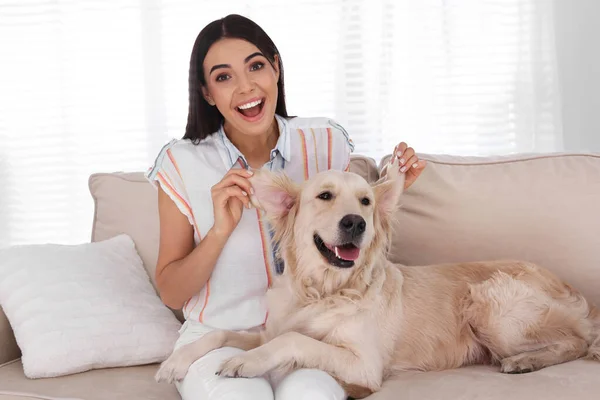 年轻女人和她的金毛猎犬在客厅的沙发上玩乐 — 图库照片