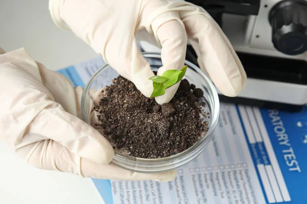Scientist holding Petri dish with soil and sprouted plant over table, closeup. Biological chemistry — Stock Photo, Image