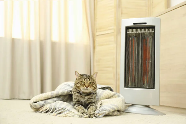 Roztomilý tabby kočka v blízkosti elektrického infračerveného ohřívače doma — Stock fotografie