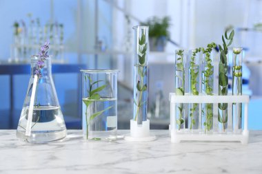 Test tüpleri ve diğer laboratuvar camları farklı bitkiler içerideydi.