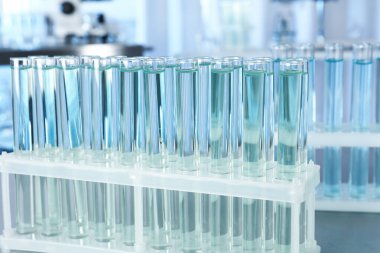 Arka planda sıvı bulunan test tüpleri. Laboratuvar analizi