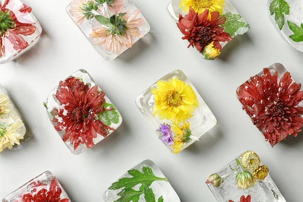 Cubes de glace avec des fleurs sur fond clair, plat — Photo