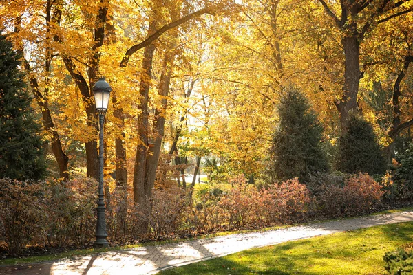 화창 한 날에 나무들 과 관목들이 있는 아름다운 가을 공원 — 스톡 사진