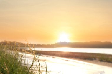 Güneşli gölü güzel manzaralı, çimenlere odaklı.