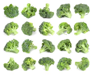 Beyaz üzerine izole edilmiş taze yeşil brokoli kolajı.