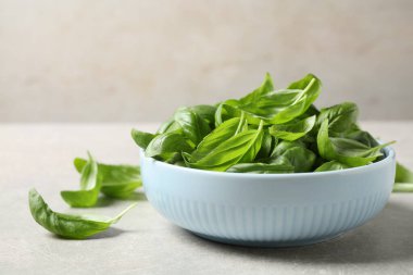 Açık gri masada taze yeşil fesleğen, yakın plan.