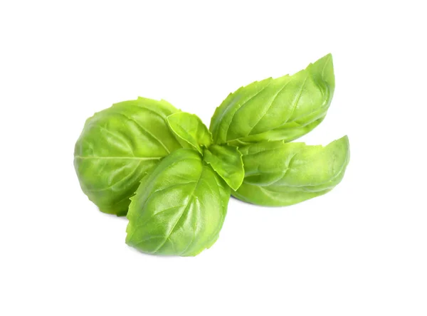 Fresh Green Basil Leaves Isolated White — Stock Photo, Image