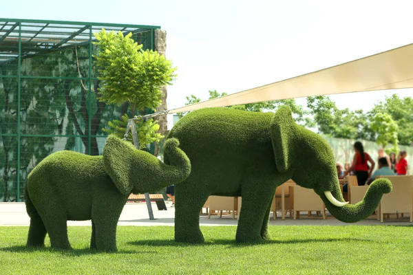 Hermosos topiarios en forma de elefante en el zoológico en el día soleado. Landsca — Foto de Stock