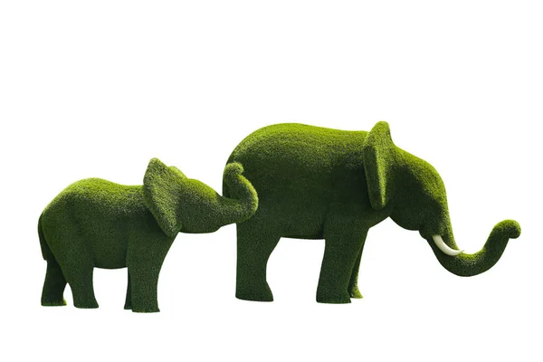 Hermosos Topiarios Forma Elefante Aislados Blanco Jardinería Paisajística —  Fotos de Stock