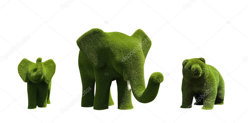 Beautiful elephant and bear shaped topiaries isolated on white. Landscape gardening