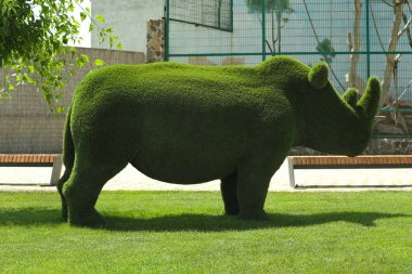 Güneşli bir günde hayvanat bahçesinde güzel gergedan şekilli çalı ağacı. Landsca