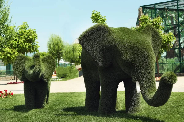 Hermosos topiarios en forma de elefante en el zoológico en el día soleado. Landsca — Foto de Stock