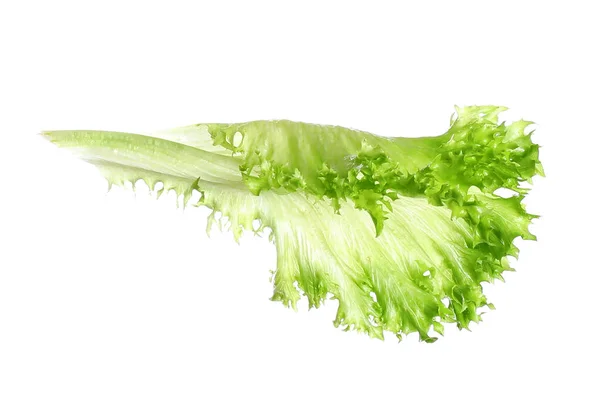 Fresh Green Lettuce Isolated White Sandwich Ingredient — Stock Photo, Image
