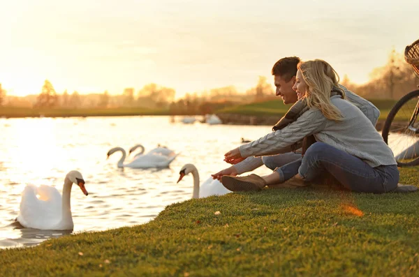 Pareja Joven Cerca Del Lago Con Cisnes Atardecer Lugar Perfecto — Foto de Stock