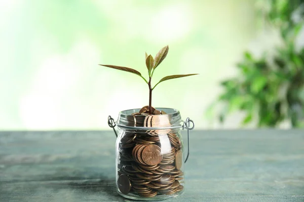 Стеклянная банка с монетами и зеленым растением на светло-голубом деревянном столе — стоковое фото