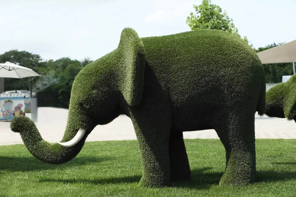 Όμορφο ελεφαντόδοντο σχήμα στο ζωολογικό κήπο την ηλιόλουστη μέρα. Τοπίο — Φωτογραφία Αρχείου