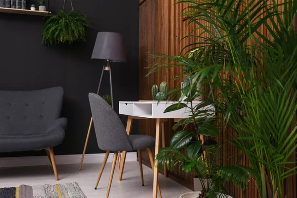 美しい植物とスタイリッシュな部屋のインテリア ホームデザインのアイデア — ストック写真