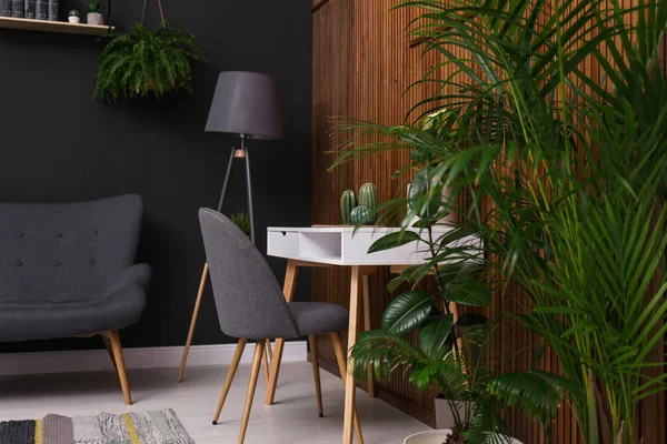 Interiorul Elegant Camerei Plante Frumoase Idee Design — Fotografie, imagine de stoc