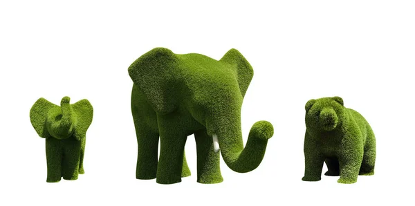 Hermoso Elefante Oso Forma Topiarios Aislados Blanco Jardinería Paisajística — Foto de Stock