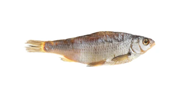 Chutné Sušené Ryby Izolované Bílém Mořské Plody — Stock fotografie