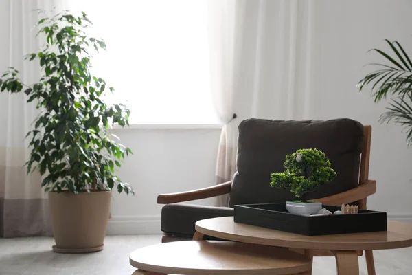 Fauteuil moderne, jardin zen et plantes fraîches dans le salon. Hom ! — Photo