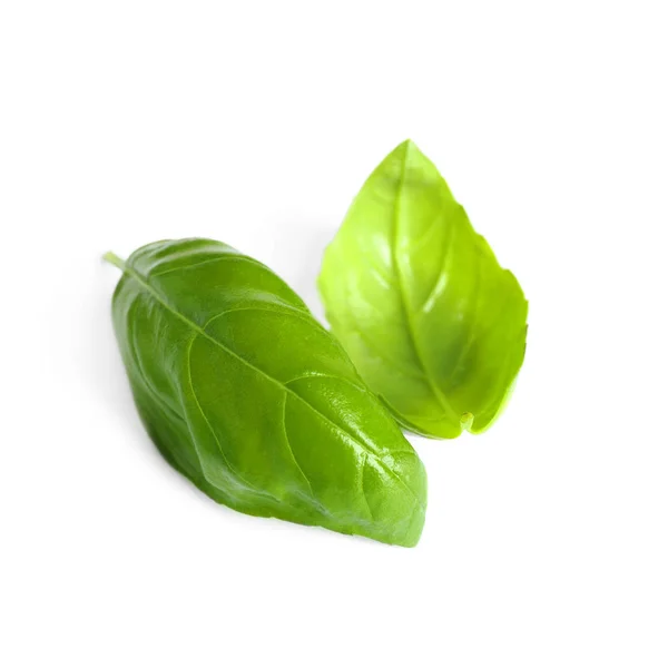 Färska gröna basilikablad isolerad på vit — Stockfoto