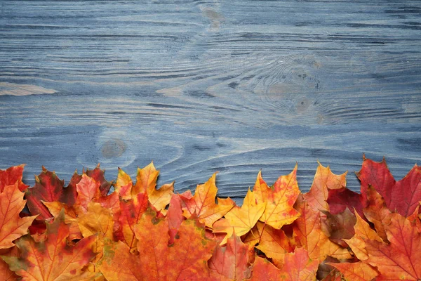 Vackra höstlöv och utrymme för text på blå trä bakgr — Stockfoto