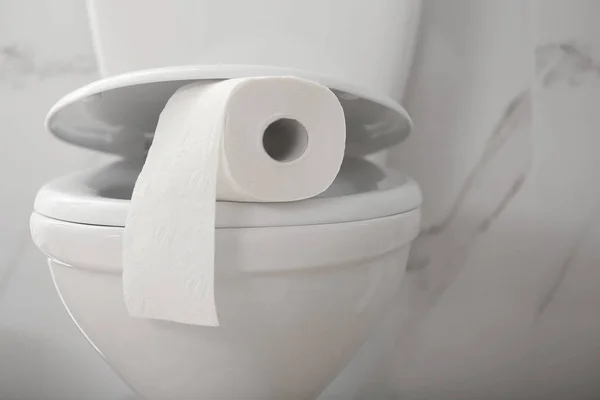 Papírová Role Toaletní Míse Koupelně — Stock fotografie