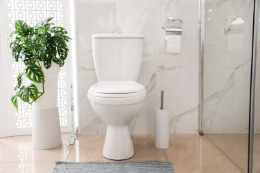 Toilet bowl near shower stall in modern bathroom clipart
