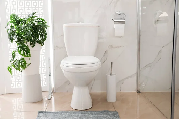 Toilettenschüssel Neben Duschkabine Modernen Badezimmer — Stockfoto