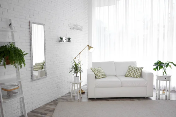 Elegante Interior Habitación Con Plantas Caseras Verdes —  Fotos de Stock