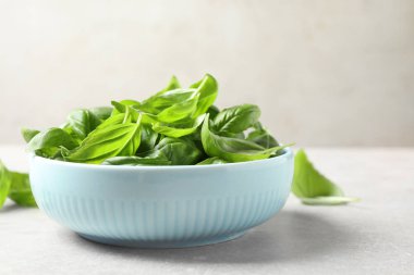 Açık gri masada taze yeşil fesleğen, yakın plan.