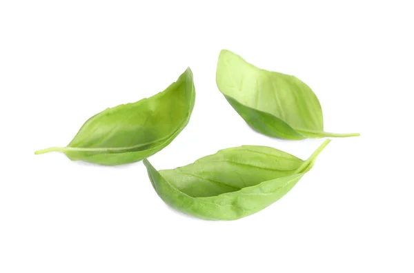 白で隔離される緑カップバジルの葉 — ストック写真