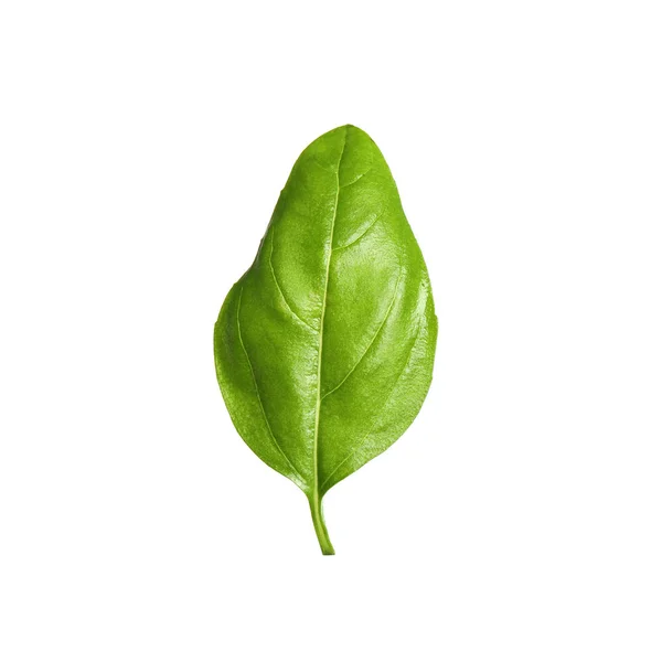 Fresh green basil leaf isolated on white — Stock Photo, Image