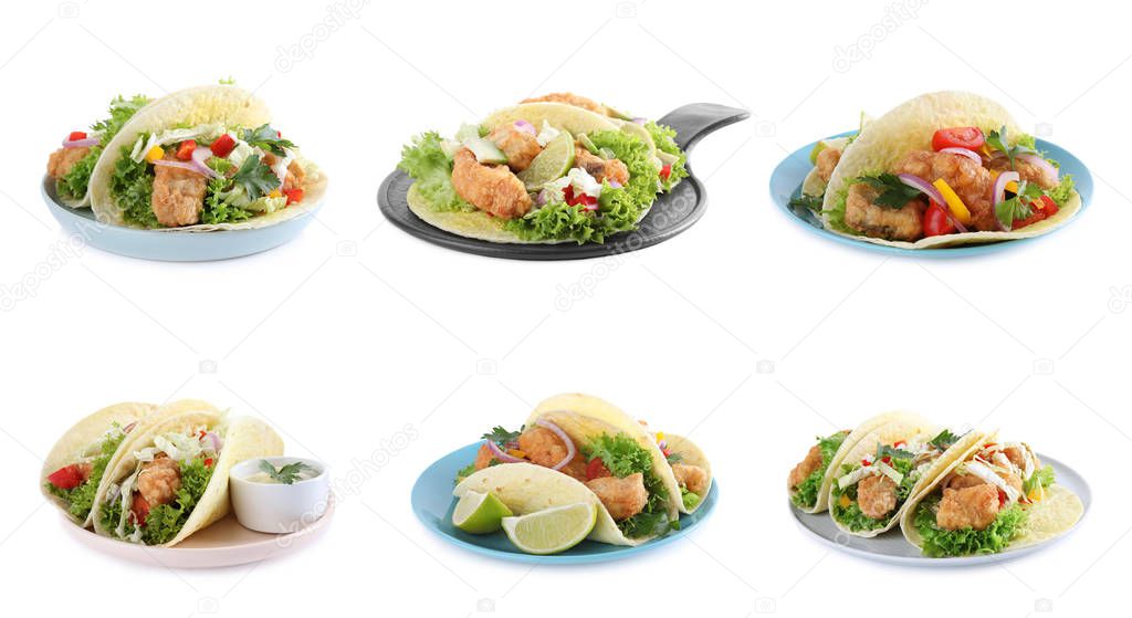 Set of delicious fresh fish tacos on white background