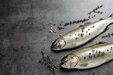 Gri masada çiğ, cani alabalık balığı, düz yerde. Metin için boşluk