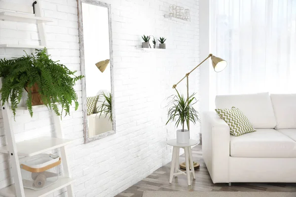 Elegante Interior Habitación Con Plantas Caseras Verdes — Foto de Stock