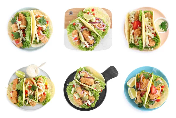 Set Van Heerlijke Verse Vis Taco Witte Achtergrond Bovenaanzicht — Stockfoto