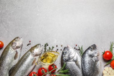 Dorada ve cani balıklarla bezenmiş düz kompozisyon açık gri masa üzerinde, metin için boşluk