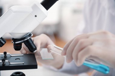 Bilimadamları mikroskobun yanındaki masaya mavi sıvıyı döküyor. Tıbbi araştırma