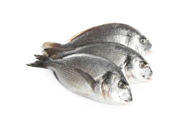 Taze çiğ dorada balığı beyazda izole edilmiş.