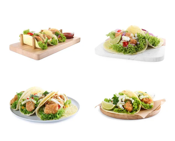 Set Van Heerlijke Verse Vis Taco Witte Achtergrond — Stockfoto