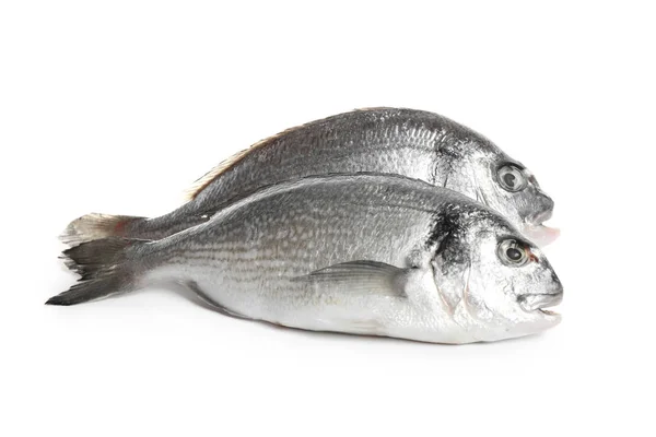 Peixe Dorada Cru Fresco Isolado Sobre Branco — Fotografia de Stock