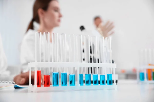 Cremalheira Com Tubos Ensaio Mesa Branca Assistentes Laboratório Sala Investigação — Fotografia de Stock