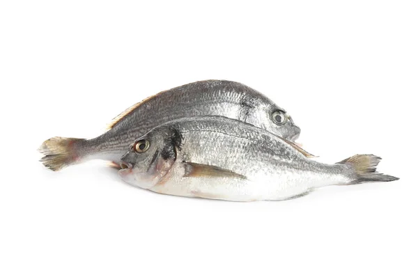 Čerstvé Syrové Dorada Ryby Izolované Bílém — Stock fotografie