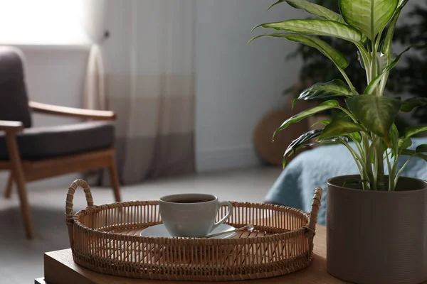 Čerstvá káva a zelená rostlina v ložnici. Domácí dekorace — Stock fotografie