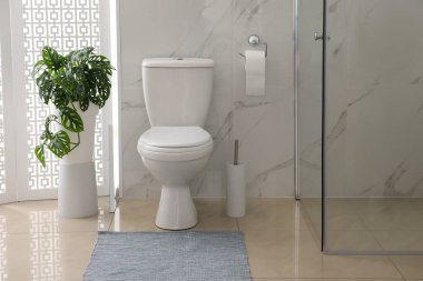 Modern banyodaki duş kabininin yanındaki klozet.