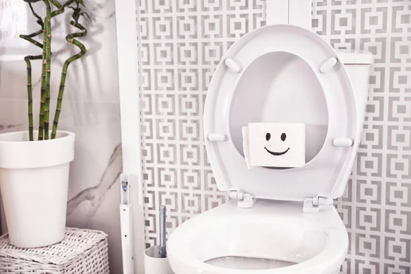 Roll Paper Αστείο Πρόσωπο Στο Κάθισμα Της Τουαλέτας Στο Μπάνιο — Φωτογραφία Αρχείου