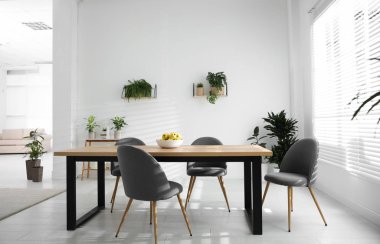 Yeşil bitkilerle dolu şık bir oda. Ev dekorasyonu